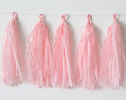 Pink Paper Tassel Garland - PartyMonster.ae