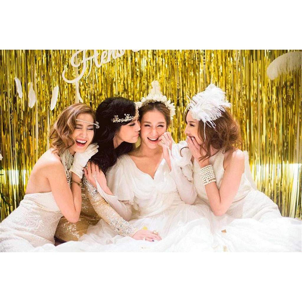 Silver Tassel/ tinsel Foil curtain, backdrop - PartyMonster.ae